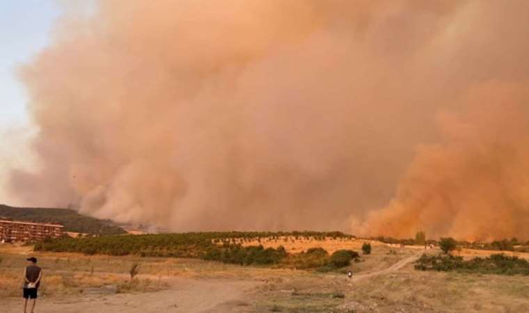 Dardanelles shipping to resume as Turkey battles fires