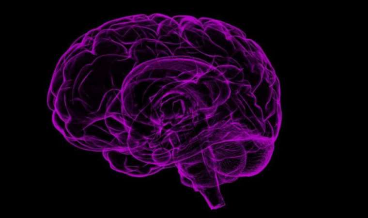 Artificial Intelligence and Neurocinema