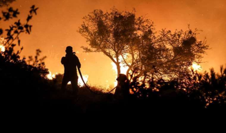 Çanakkale'de 3 bin 93 futbol sahası büyüklüğünde alan yandı!