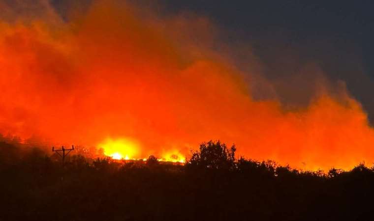 Diyarbakır’da orman yangını: Rüzgârın etkisiyle geniş bir alana yayıldı!