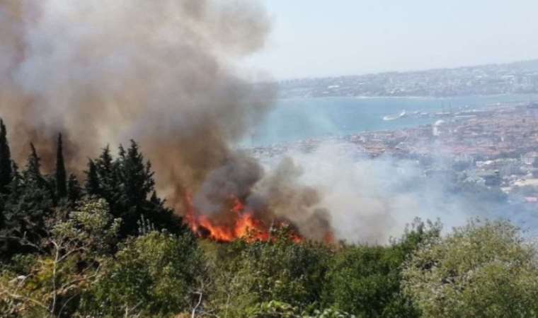 Son Dakika: İstanbul'da otluk alanda yangın çıktı!