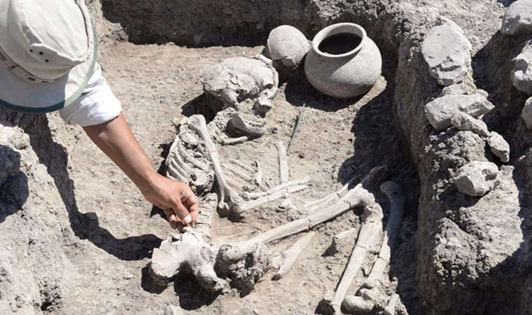 Çayönü Tepesi'nde ilk Tunç Çağı'na ait 5 mezar daha bulundu: 'Çok önemli bir tarihe sahip...'