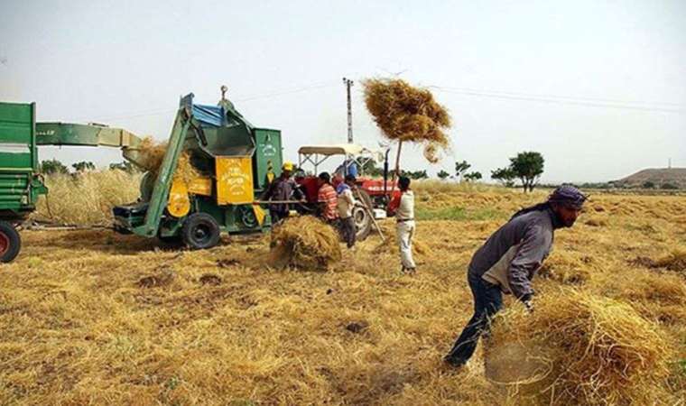 Tarım sektörü Cumhurbaşkanı yardımcısı Cevdet Yılmaz'a dert yandı