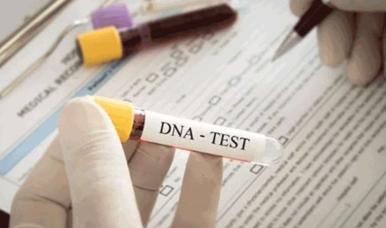 DNA testiyle babası olduğunu ispatladığı patronunun mirasına ortak olmak için dava açtı