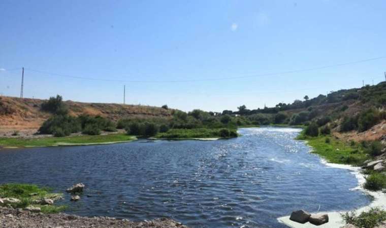 Prof. Dr. Baycan: Saniyede 30 milyon mikroplastik parçacığı, Ege Denizi'ne karışıyor