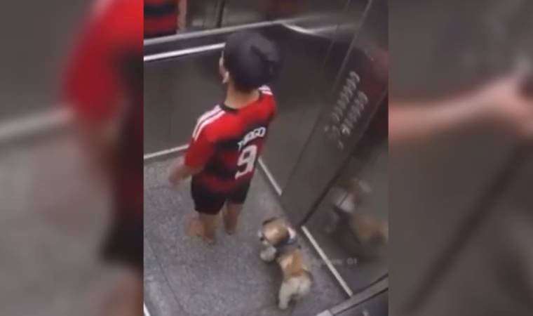 Asansörde sıkışan köpeği böyle kurtardı
