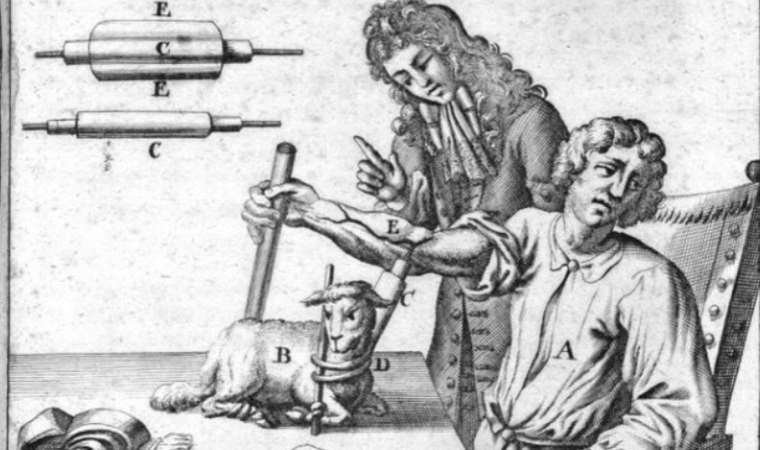 Mumya tozu, balina cesedi ve dahası: En ilginç 5 tedavi yöntemi