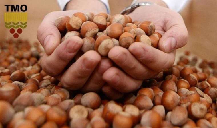 Fındık fiyatları açıklandı mı? 2023 fındık fiyatı ne kadar olacak? Fındık kaç TL olacak?