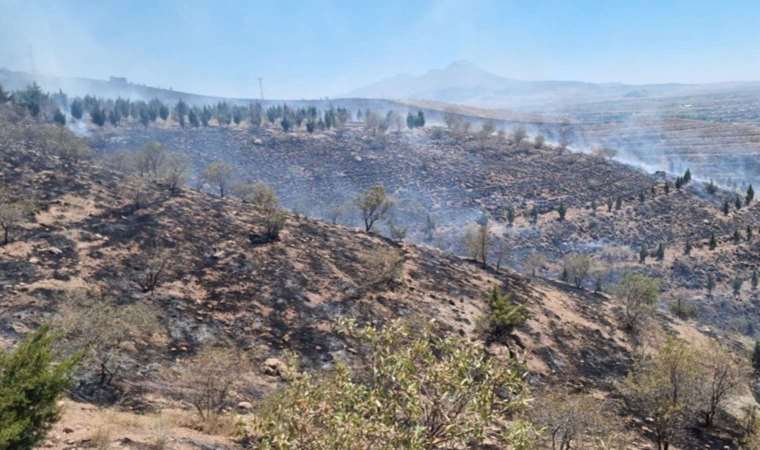 Aksaray'da ot yangını ormana sıçradı, 5 bin fidan yandı