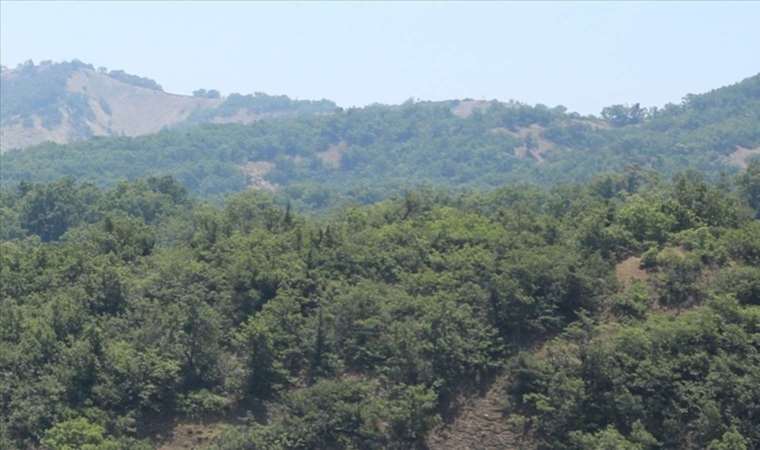Çanakkale Valiliği'nden orman yangınlarına ilişkin uyarı