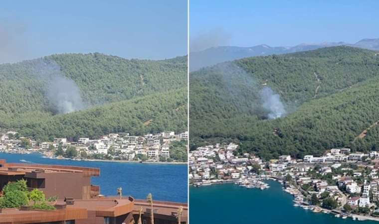 Bodrum'da orman yangını: Ekipler müdahale ediyor