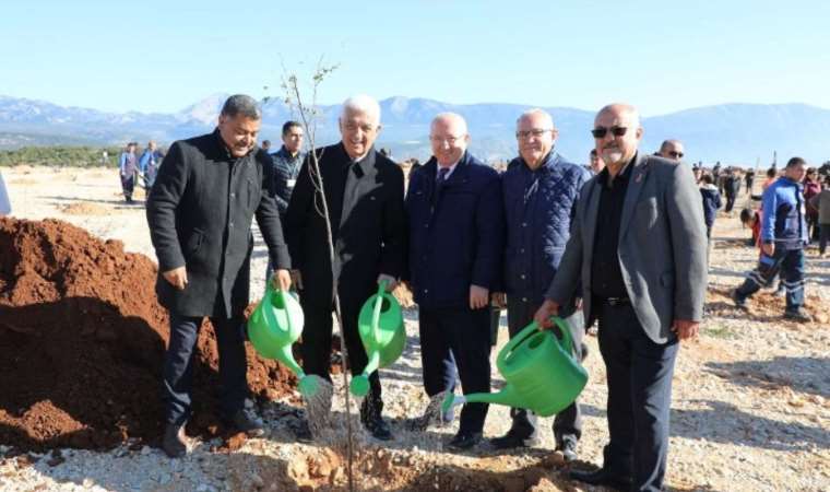 Muğla’da 228 bin 400 ağaç toprakla buluştu