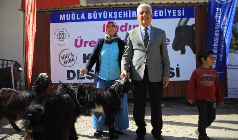 Muğla’da kadın üreticiye kıl keçisi desteği devam ediyor