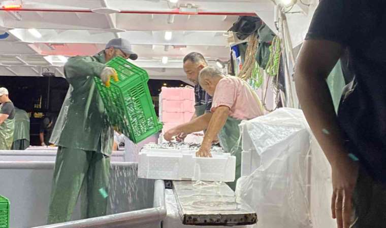 Av yasağı bitti, sezonun ilk balıkları avlandı: 'Yüzde yüz bir yoğunluk yok ama siftahı yaptık'