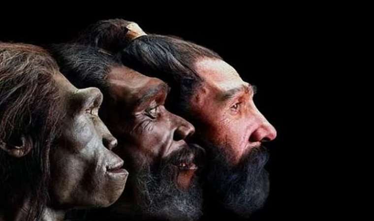 Human ancestors teetered on the edge of extinction thousands of years ago