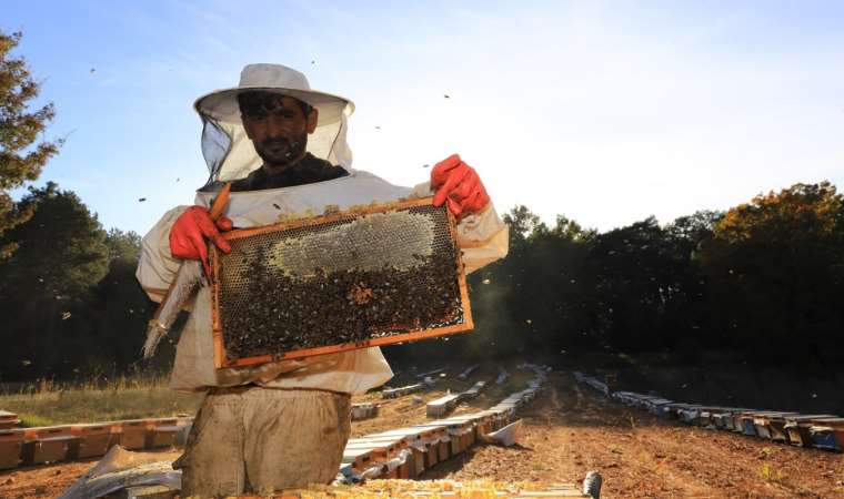 Muğla’da “Temiz Petek Projesi” büyüyor