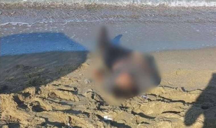 Kuşadası’nda deniz kıyısına vurmuş erkek cesedi bulundu