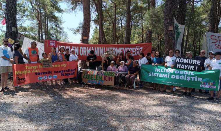 Dünya Barış Günü’nde Akbelen için adalet çağrısı
