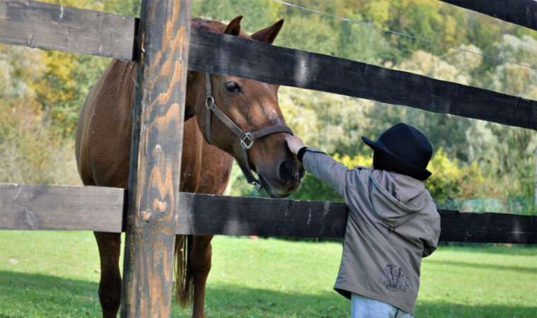 At binmek özel ihtiyaçlı çocuklara iyi geliyor: Hippoterapi nedir?