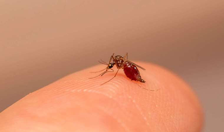 Yazın kullandığınız sabuna dikkat!