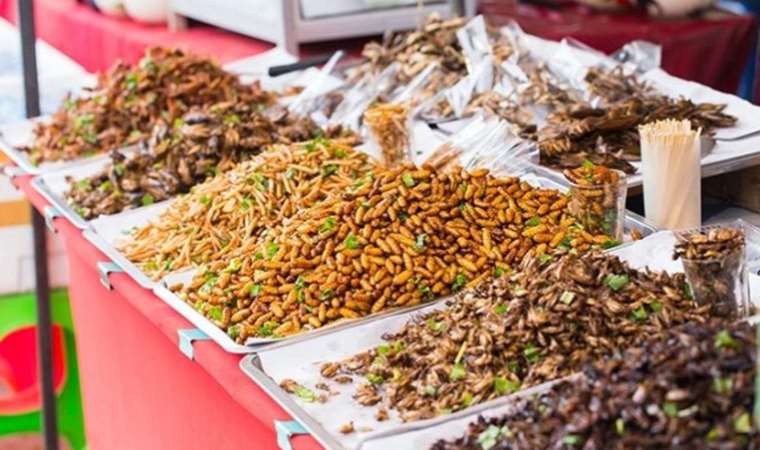 Gıdaya erişim zorlaştıkça geleceğin protein seçenekleri de çeşitlendi: Et yerine böcek yemeye hazır olun