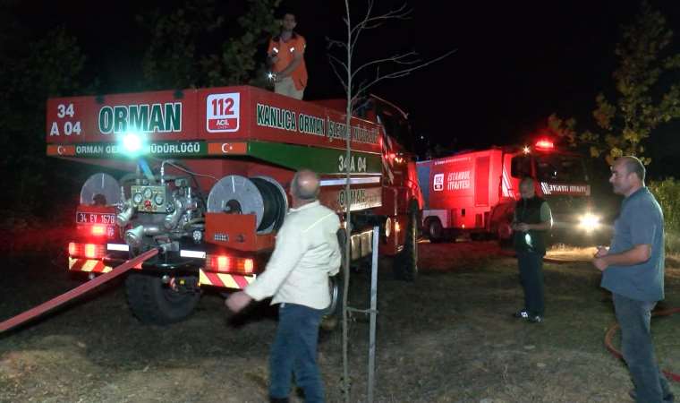 Pendik'te orman yangını: Yaklaşık 6 hektar alan yandı