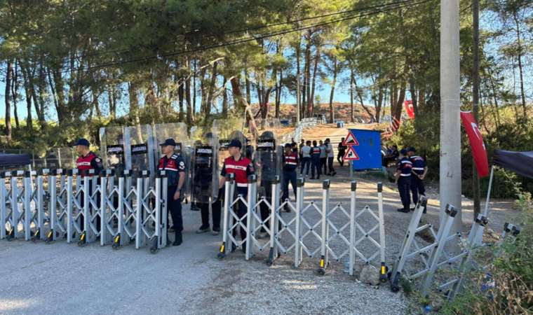 Son dakika... Akbelen’deki nöbet alanına jandarma girdi: 1 kişi gözaltında