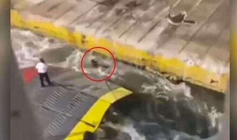 'Feribot' olayı ülkeyi ayağa kaldırmıştı: Yunan denizciler grev kararı aldı!