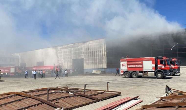 Şanlıurfa'da fabrika yangını!