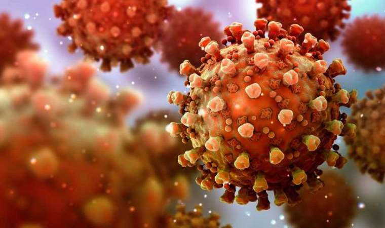 Ülkede Nipah virüsü alarmı: Yüzlerce kişiye test yapıldı