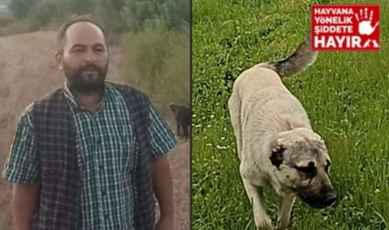 Yer Adana... Komşusunun köpeğini bıçaklayarak öldürdü, serbest bırakıldı