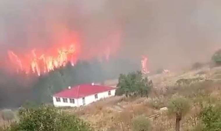 Bolu'da orman yangını!