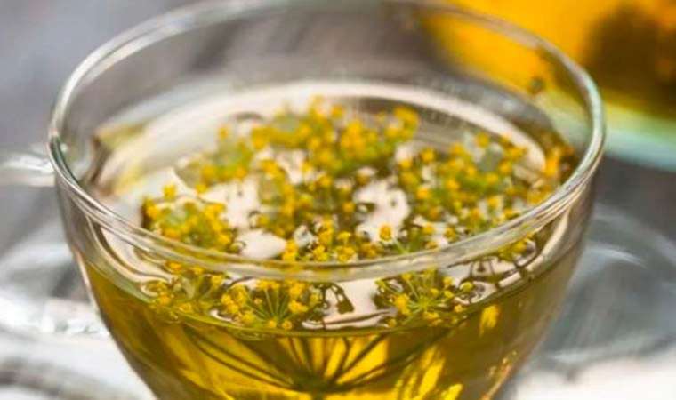 Kilo mu vermek istiyorsunuz? İşte metabolizmayı çalıştıran en güçlü çay... Bunu kullananların yağları hemen eriyor!