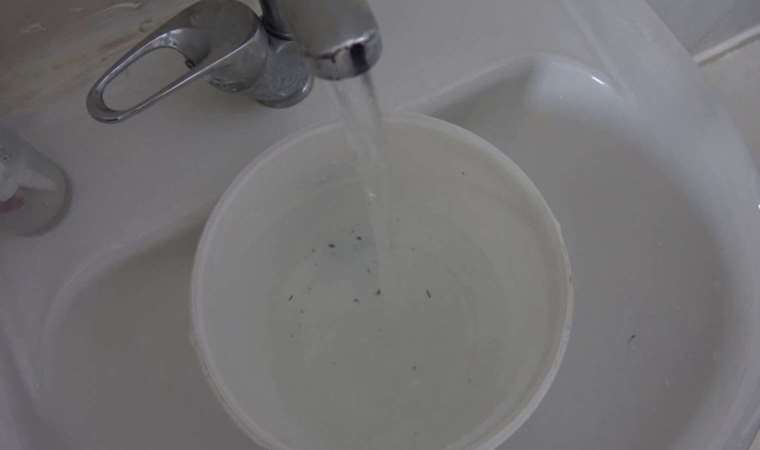 Hayatlarının şokunu yaşadılar... O ilde musluklardan su yerine 'kurtçuk' aktı