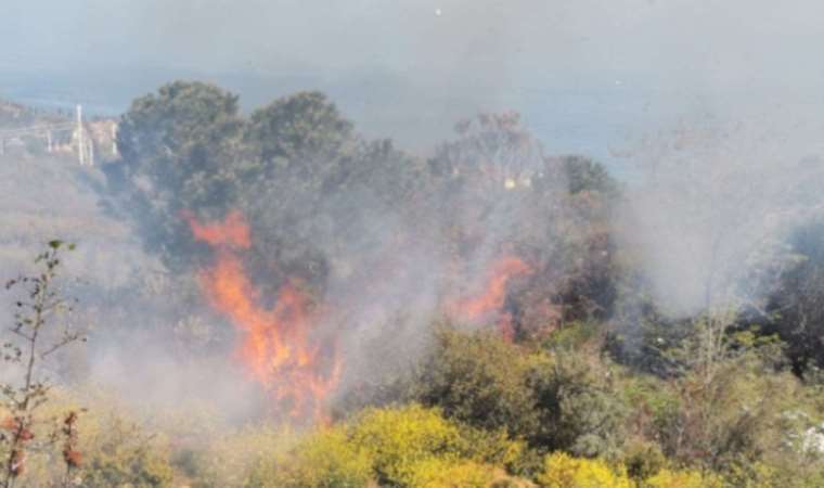 Kocaeli'nde makilik alanda yangın... Ekiplerin müdahalesi devam ediyor!