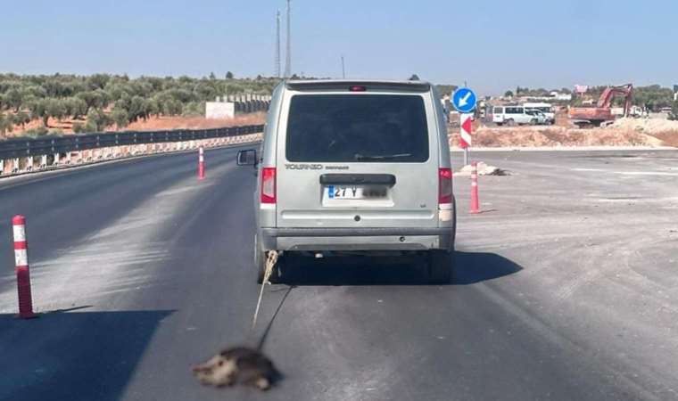 Köpeği aracına bağlayıp sürükleyen cani yakalandı
