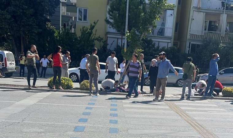 Karşıya geçmek için bekliyorlardı...