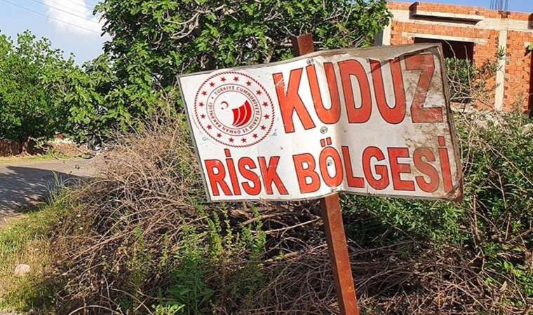 Sahibini ısıran köpek kuduz çıktı, 3 köy karantinaya alındı