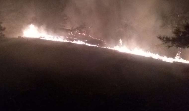 Muğla'da orman yangını: 3 hektar alan kül oldu!