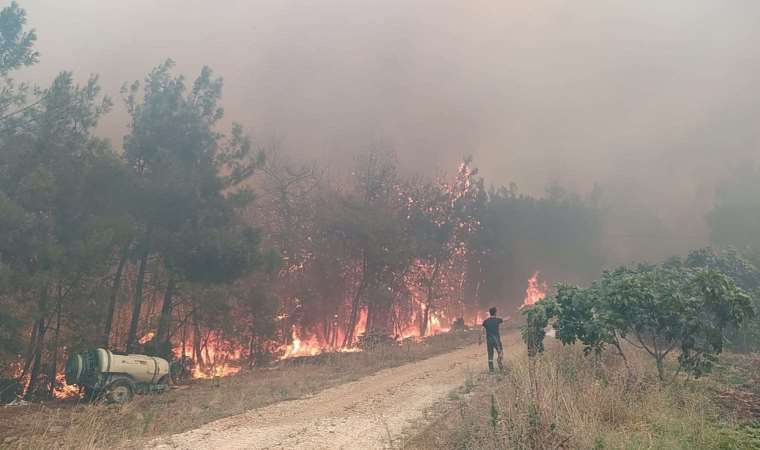 Havadan müdahale ile kontrol altına alındı