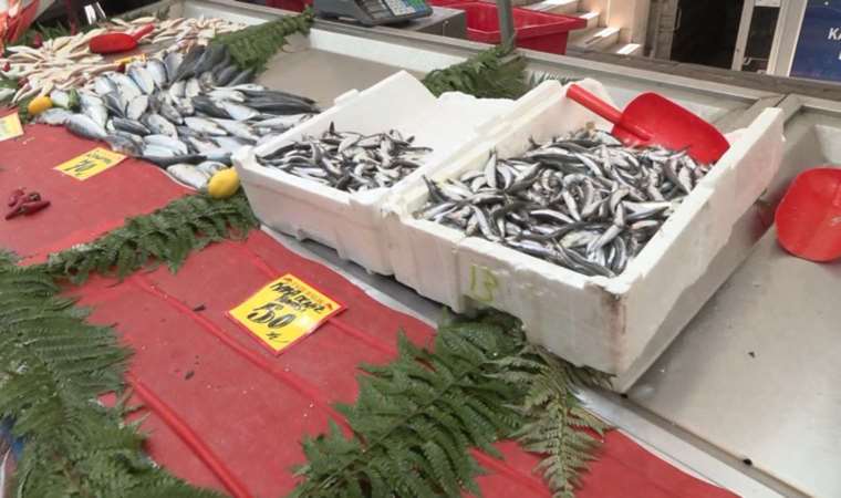 Hamsi ihracatının karnesi belli oldu