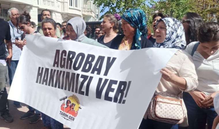 Sendikal nedenle işten atılan Agrobay işçileri, ürettikleri domatesleri alanlara seslendi: Koşullar insanca değil