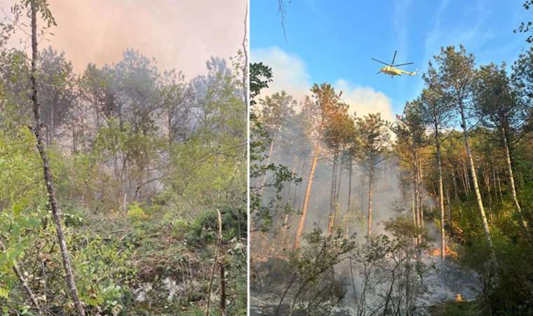 Karabük'te orman yangını: Ekiplerin müdahalesi sürüyor