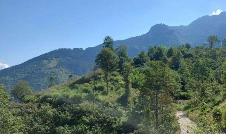 Karadeniz'e maden tehdidi