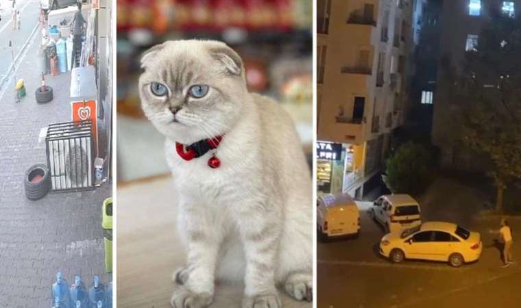 Esenyurt'ta silahlı 'kedi' kavgası: Yoldan geçen kurye vuruldu