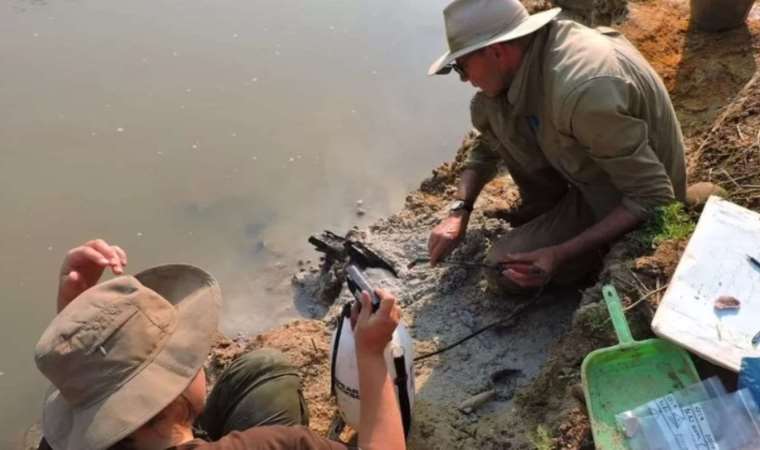 Dünya'nın en eski ahşap yapısı keşfedildi