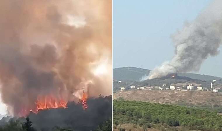 Kocaeli'ndeki orman yangını kontrol altına alındı