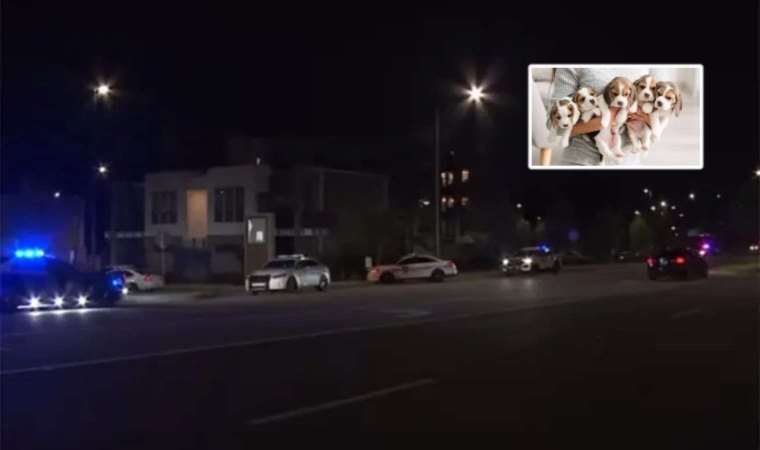 Köpek satışı kanlı bitti: 1'i çocuk 3 ölü