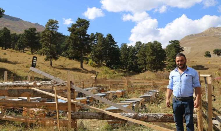 Türkiye’nin ilk ve tek yeşil balı... 89 kişinin yaşadığı köyde keşfedildi!