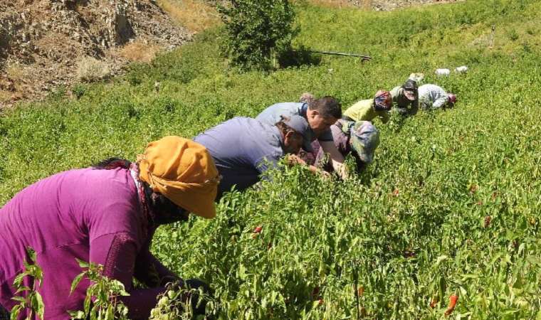 Sınırın sıfır noktasında 